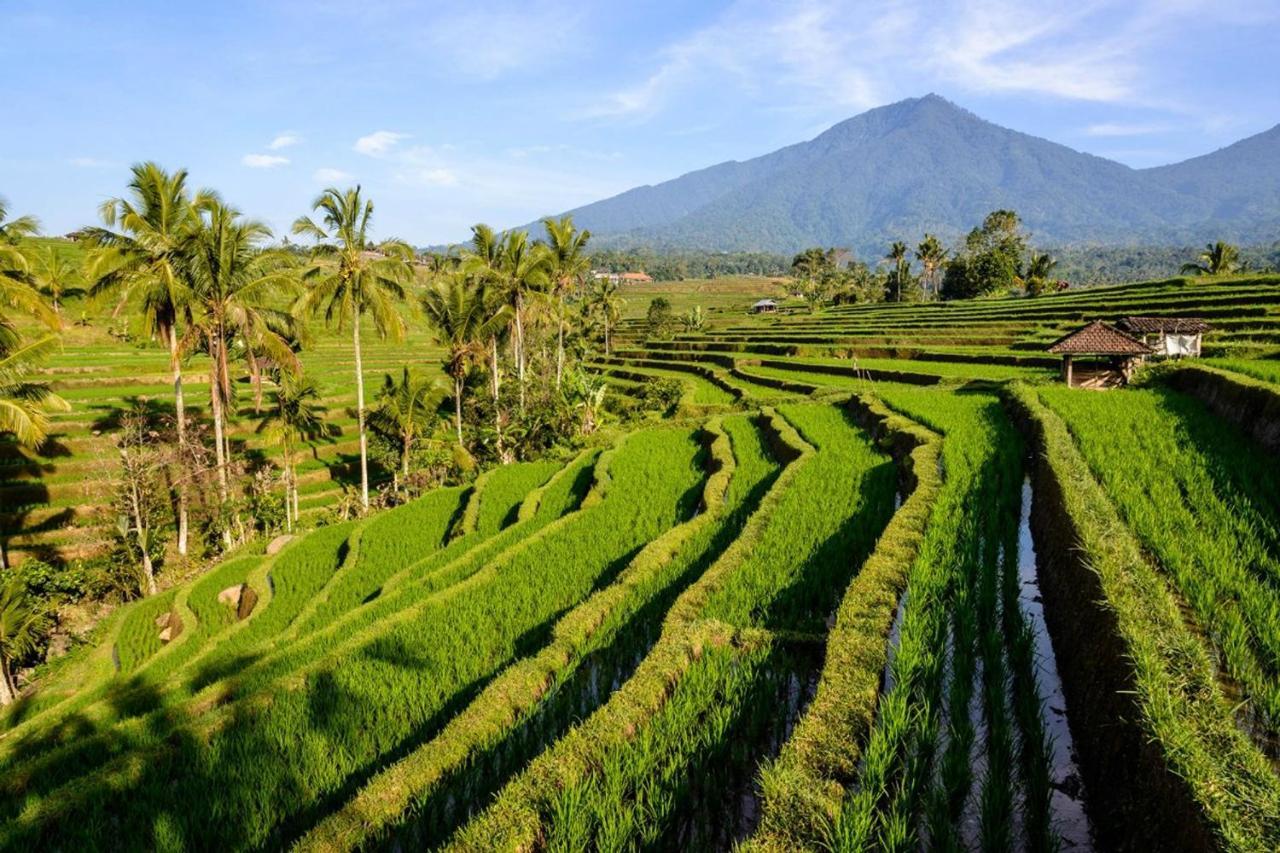 Kts - Kubu Tepi Sawah Villa Selemadeg Exteriör bild
